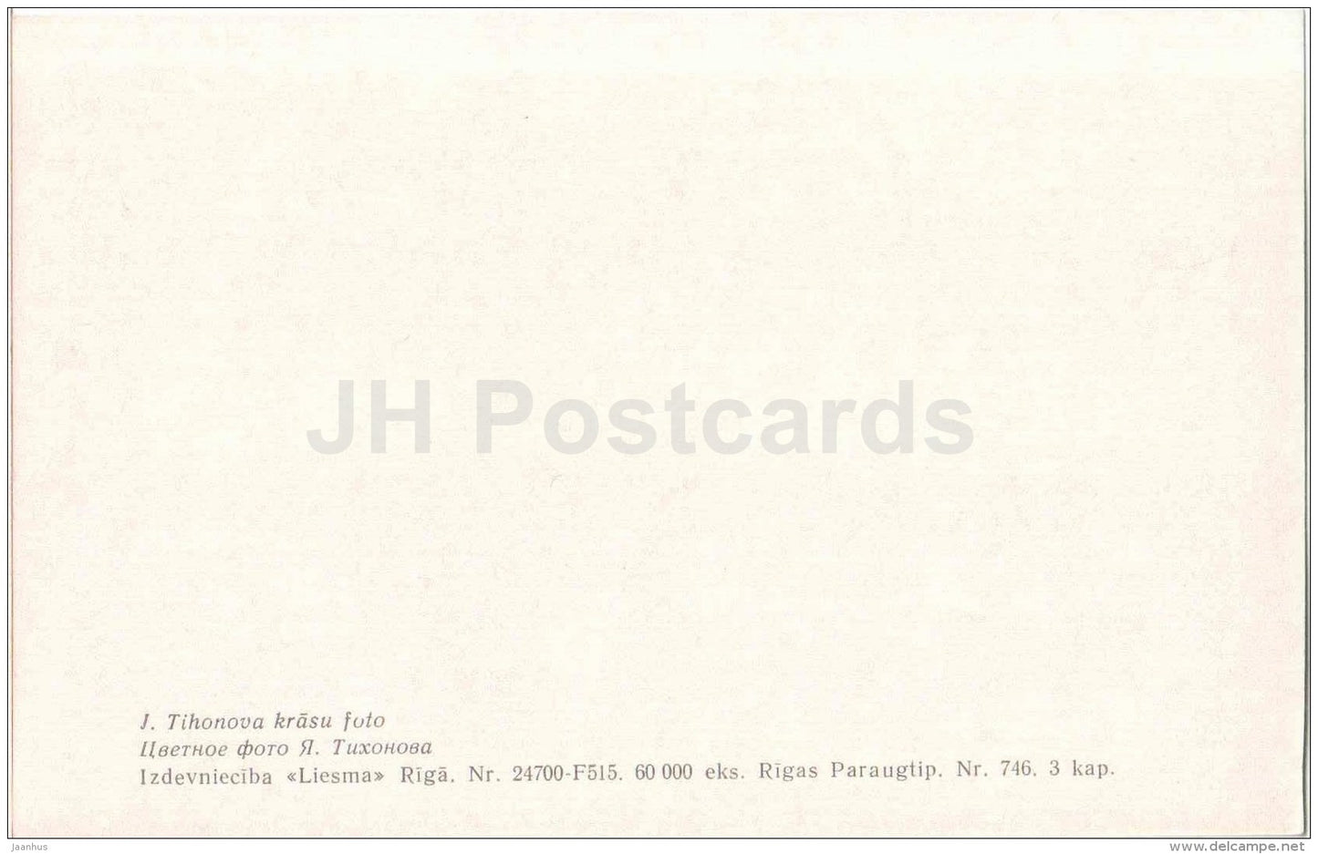 Amber decorations - Latvia USSR - unused - JH Postcards