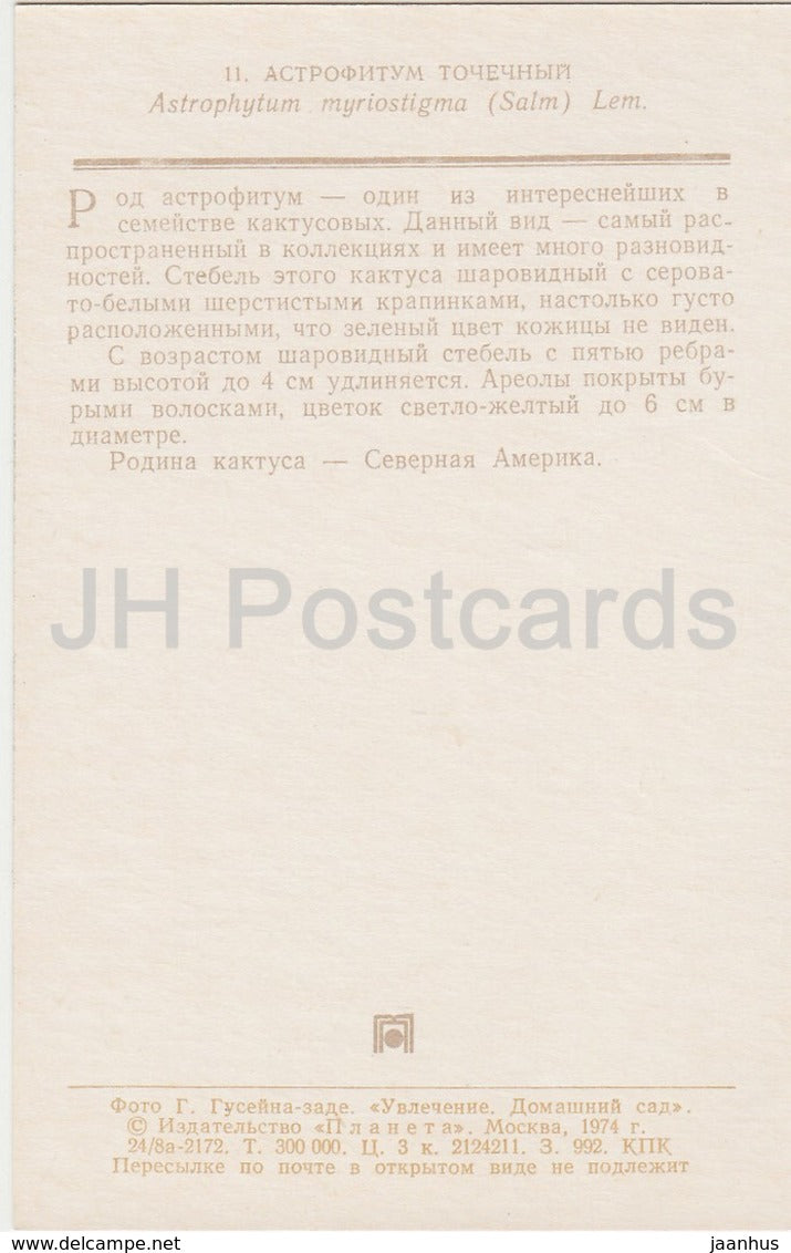 Bischofsmütze - Astrophytum myriostigma - Kaktus - Blumen - 1974 - Russland UdSSR - unbenutzt