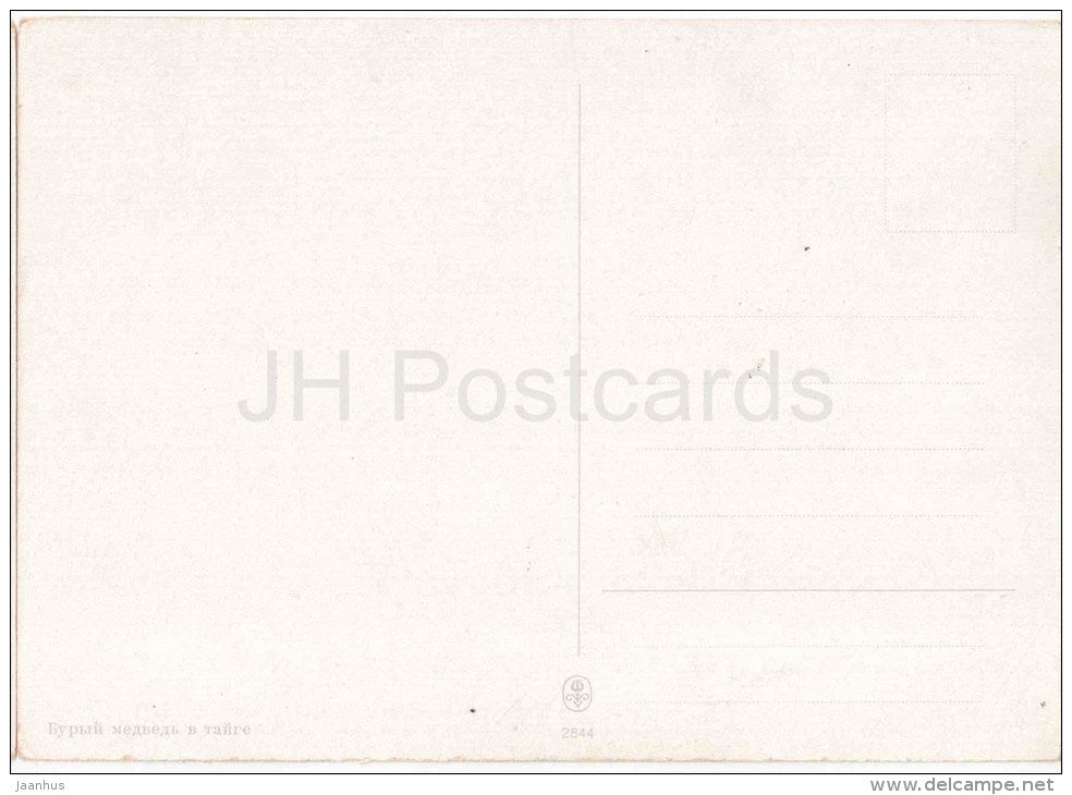 Brown bear in the Taiga - winter - 2844 - old postcard - Russia - unused - JH Postcards