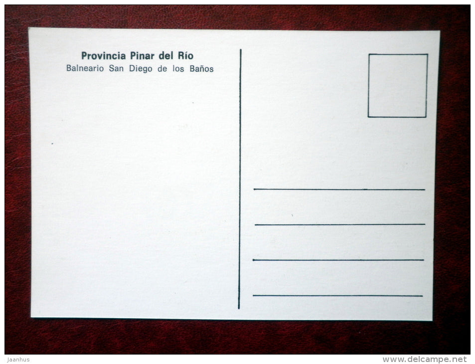 Balneario San Diego de los Banos - San Diego Spa of Bath - palm - provincia Pinar del Rio - Cuba - unused - JH Postcards
