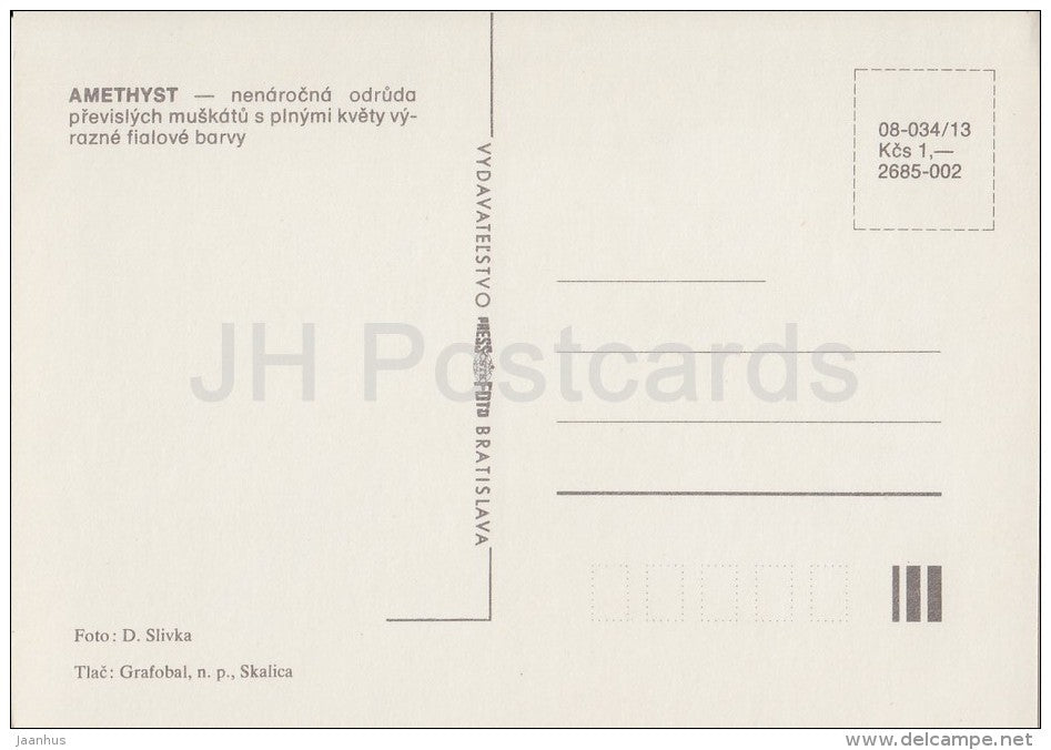 Amethyst - flowers - Geranium - 1985 - Czech - Czechoslovakia - unused - JH Postcards