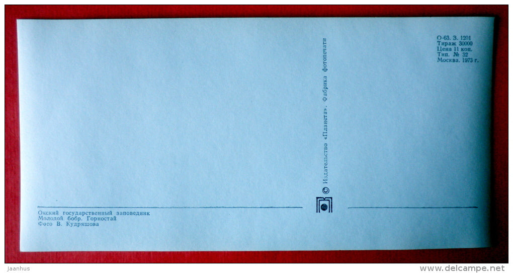 Beaver , genus Castor - The Stoat , Mustela erminea - animals - Oka Nature reserve - 1973 - USSR Russia - unused - JH Postcards