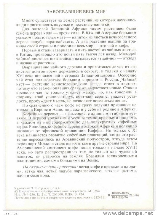 cola - Yerba mate - tea - coffee - Amazing Plants - 1976 - Russia USSR - unused - JH Postcards