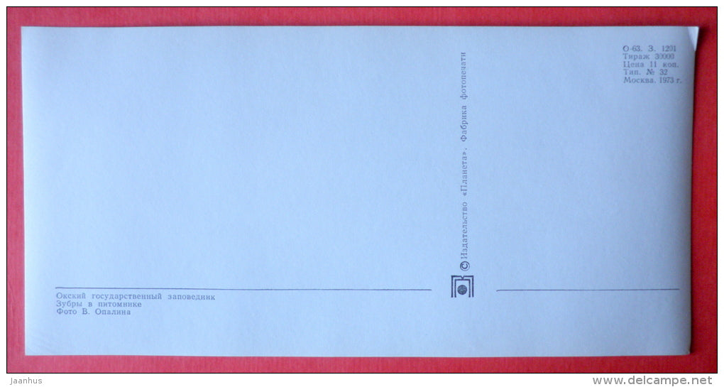 Bisons in the nursery - animals - Oka Nature reserve - 1973 - USSR Russia - unused - JH Postcards