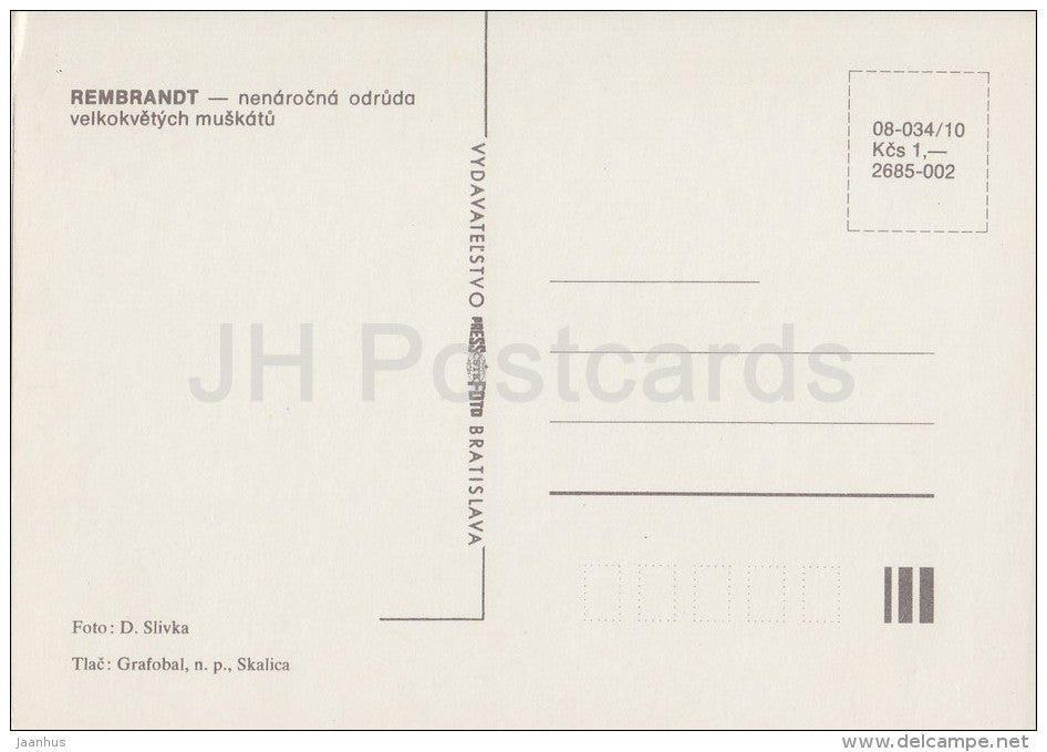 Rembrandt - flowers - Geranium - 1985 - Czech - Czechoslovakia - unused - JH Postcards