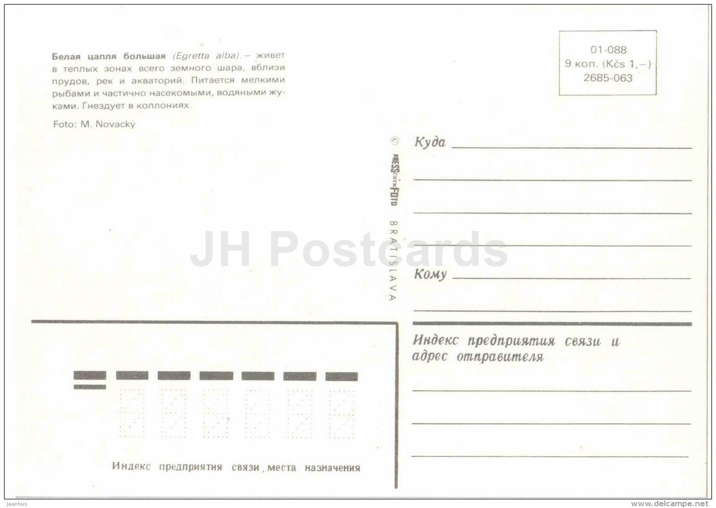 Great egret - Egretta alba - bird - Zoo Animals - Czehoslovakia - unused - JH Postcards