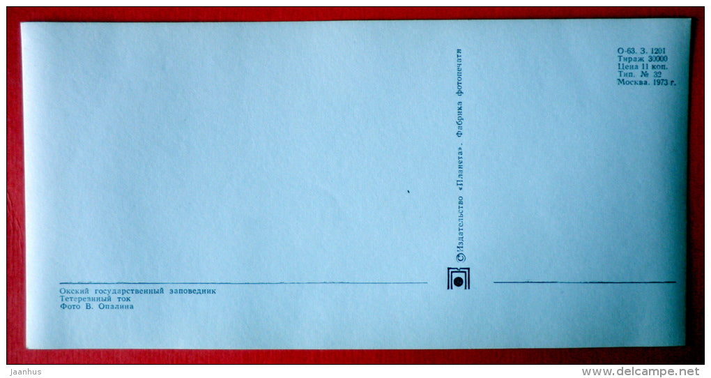 Blackcock - birds - Oka Nature reserve - 1973 - USSR Russia - unused - JH Postcards