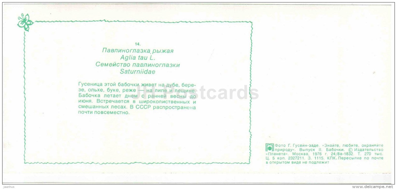 The Tau Emperor - Aglia tau - moth - butterfly - 1976 - Russia USSR - unused - JH Postcards