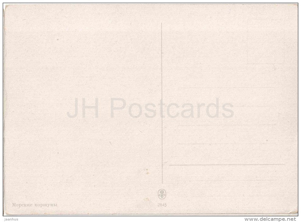 Sea Eagles - birds - 2845 - old postcard - Russia - unused - JH Postcards