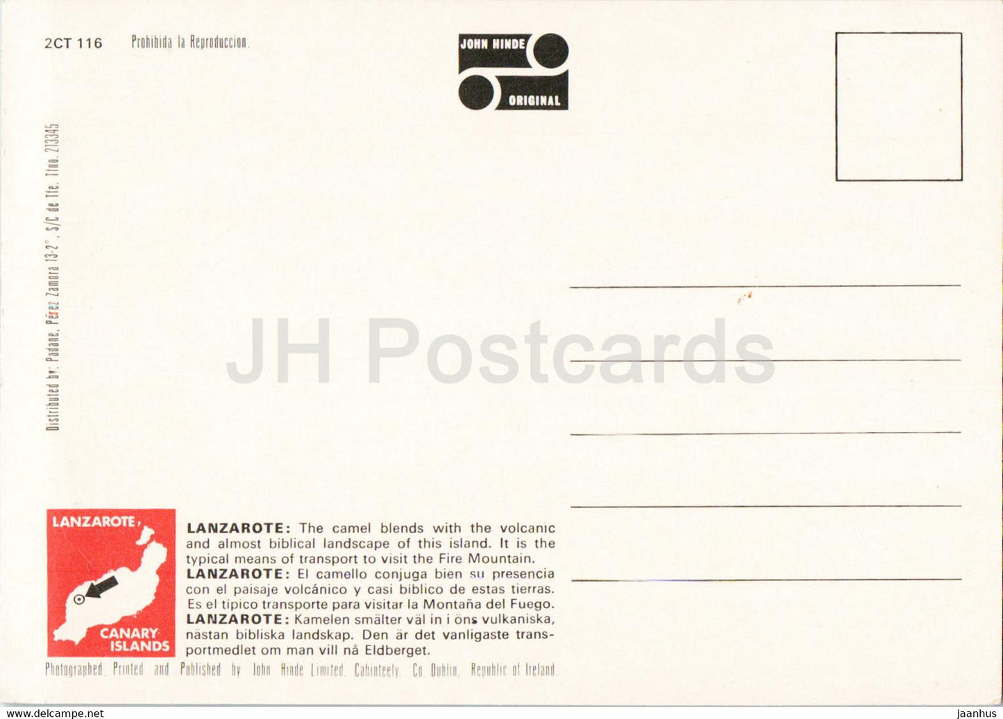 Chameaux à Lanzarote - Îles Canaries - animaux - Espagne - inutilisé
