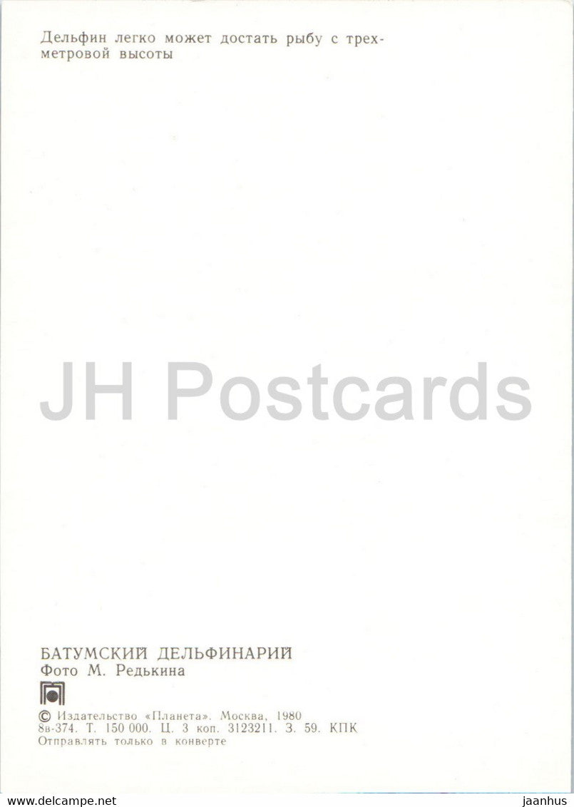 Batumi Dolphinarium - dolphin - jumping - 1980 - Georgia USSR - unused