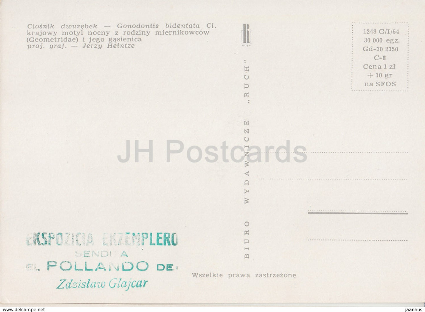 Ciosnik dwuzebek - Gonodontis bidentata - moth - insects - illustration - Poland - unused