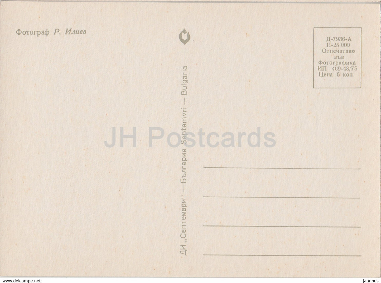 Rose rouge - 1 - fleurs - plantes - Bulgarie - inutilisée