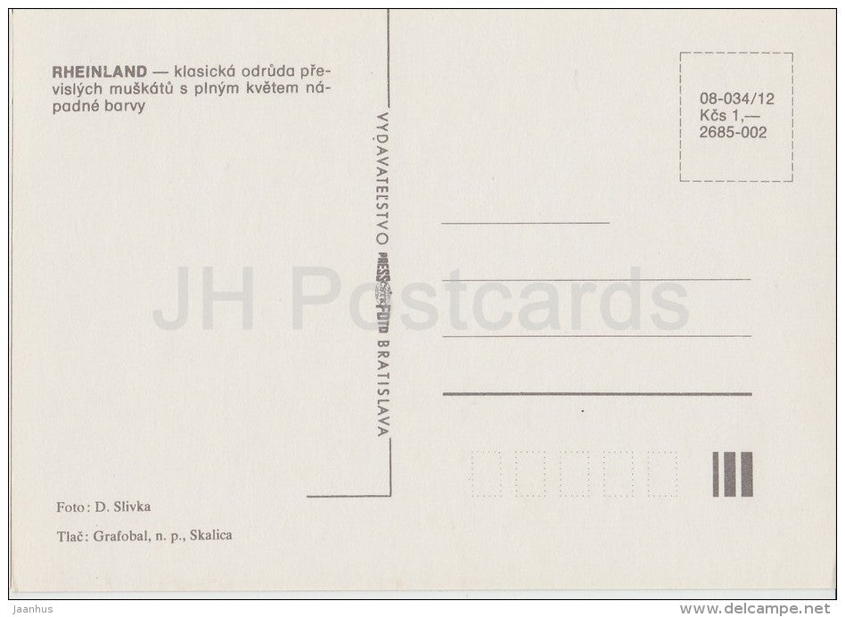 Rheinland - flowers - Geranium - 1985 - Czech - Czechoslovakia - unused - JH Postcards