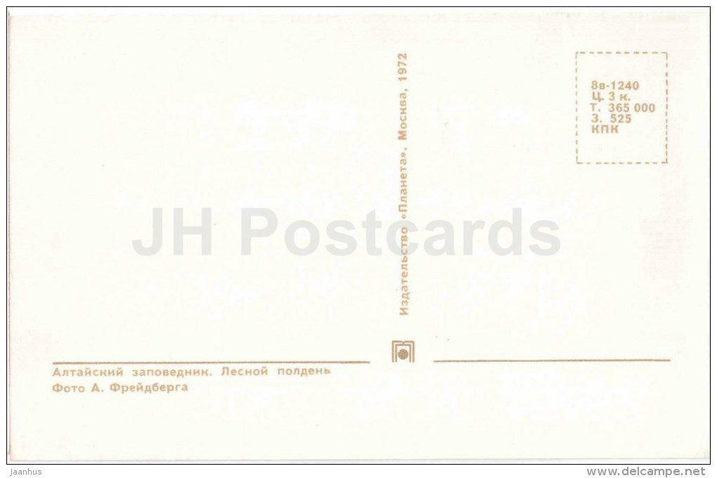midday in the forest - Lake Teletskoye - Altay - 1972 - Russia USSR - unused - JH Postcards