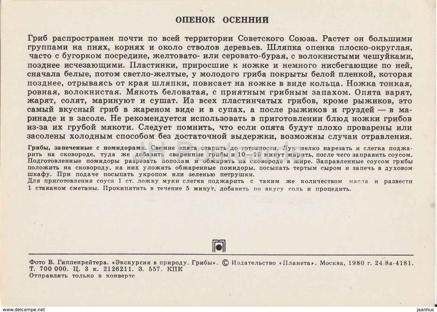 Honey fungus - Armillaria - Mushrooms - 1980 - Russia USSR - unused - JH Postcards