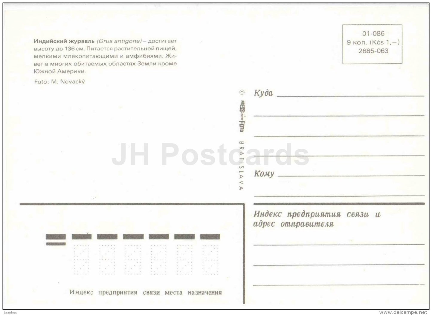 Sarus crane - Grus antigone - bird - Zoo Animals - Czehoslovakia - unused - JH Postcards