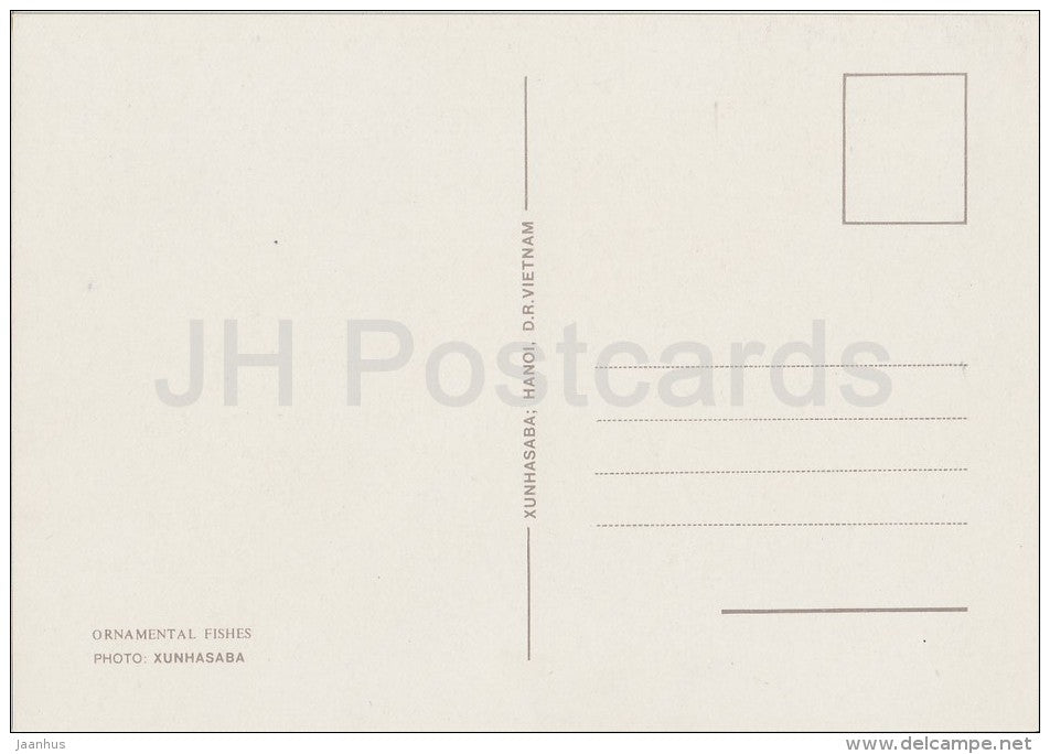 6 - Ornamental Fishes - old postcard - Vietnam - unused - JH Postcards