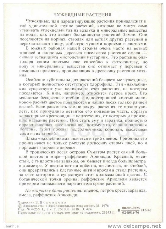 Rafflesia Arnoldi - Mistletoe - Orobanche - Lathraea - Armillaria - Amazing Plants - 1976 - Russia USSR - unused - JH Postcards