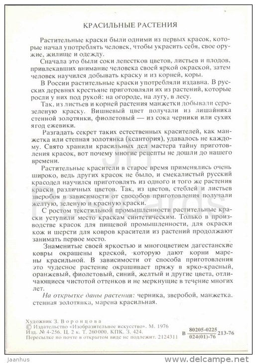 madder dyeing - tutsan - blueberry - Dyeing Plants - Amazing Plants - 1976 - Russia USSR - unused - JH Postcards