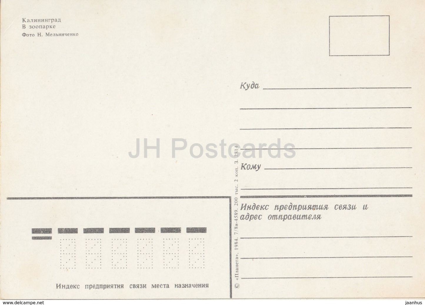 Kaliningrad - in the Zoo - Pelican - birds - 1984 - Russia USSR - unused