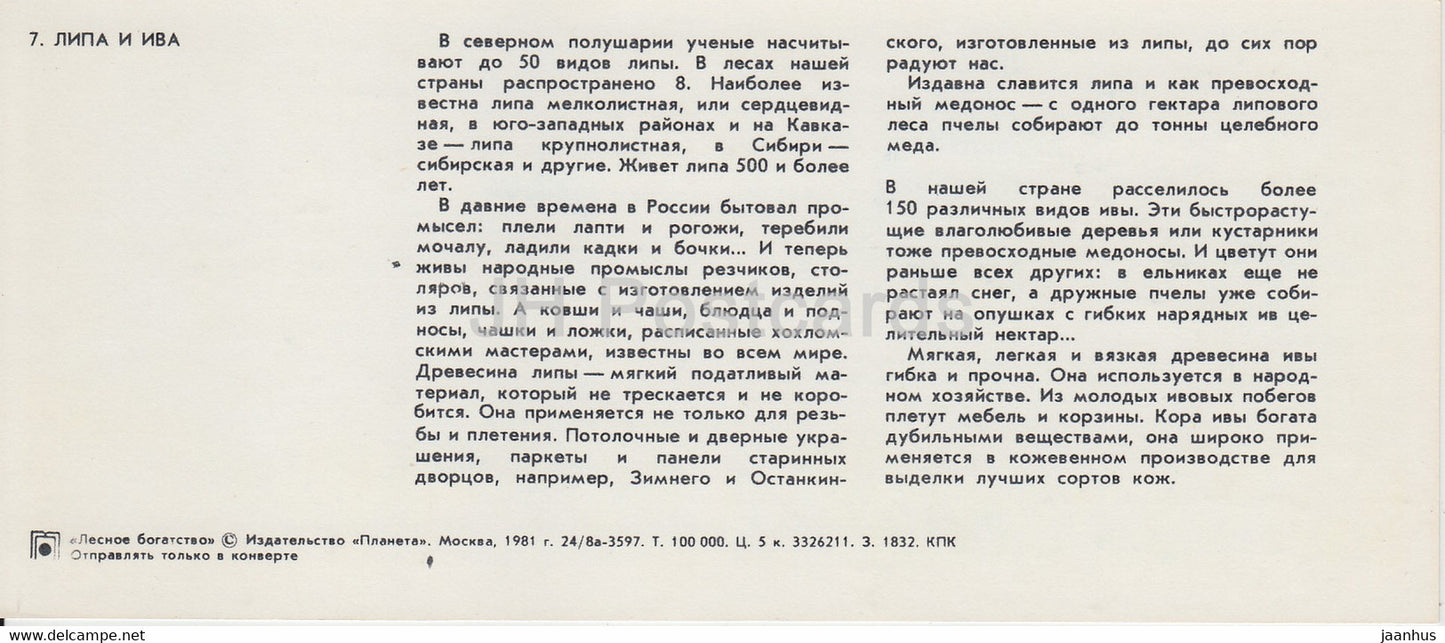 linden and willow - bee - Forest Wealth - 1981 - Russia USSR - unused