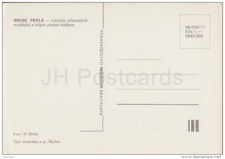 Weisse Perle - flowers - Geranium - 1985 - Czech - Czechoslovakia - unused - JH Postcards