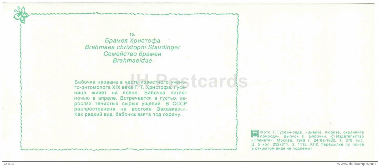 Brahmaea christophi - moth - butterfly - 1976 - Russia USSR - unused - JH Postcards