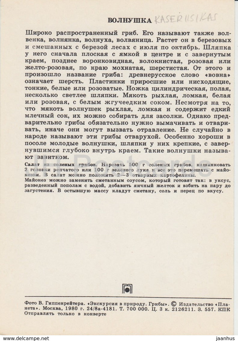 The woolly milkcap mushroom - Lactarius torminosus - Mushrooms - 1980 - Russia USSR - unused - JH Postcards