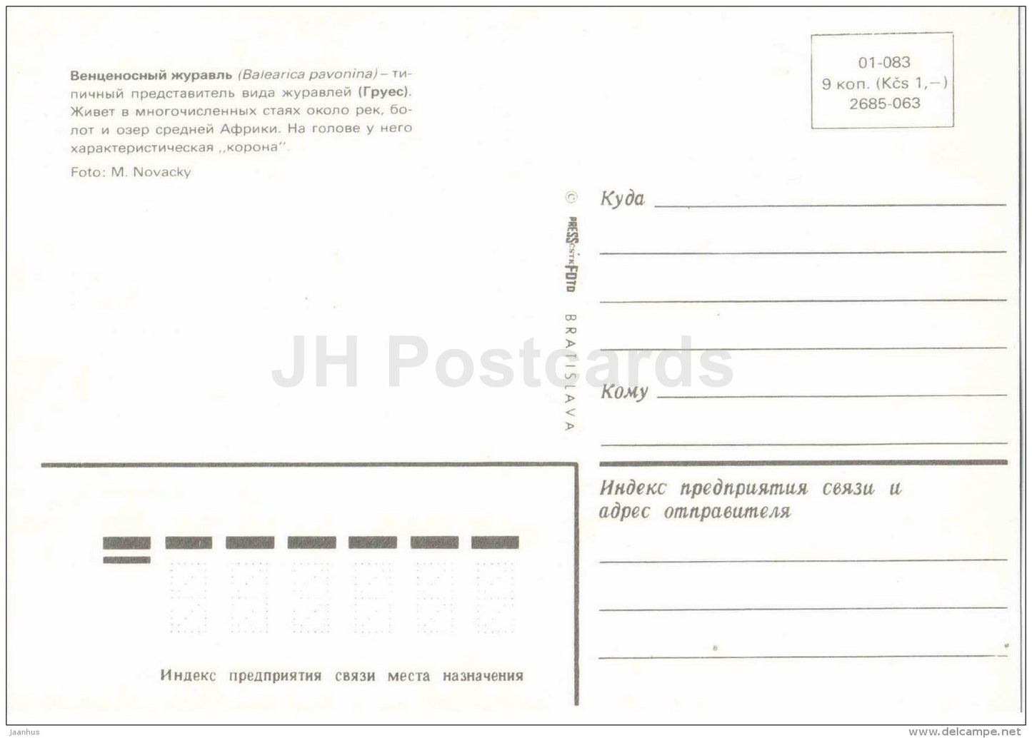 Black crowned crane - Balearica pavonina - bird - Zoo Animals - Czehoslovakia - unused - JH Postcards