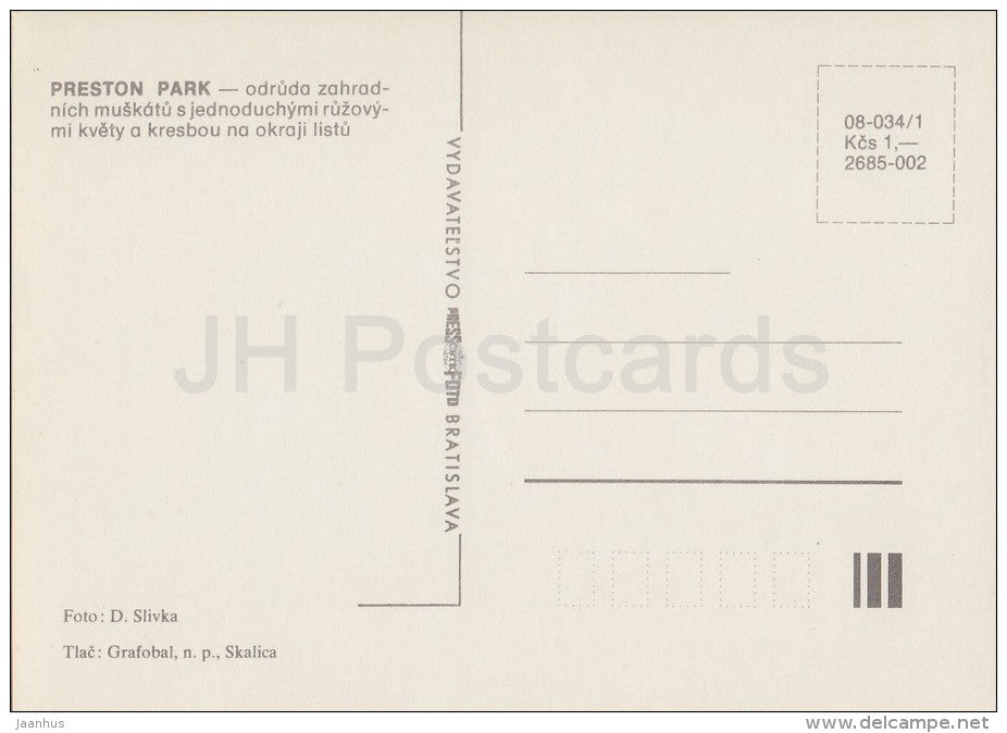 Preston Park - flowers - Geranium - 1985 - Czech - Czechoslovakia - unused - JH Postcards
