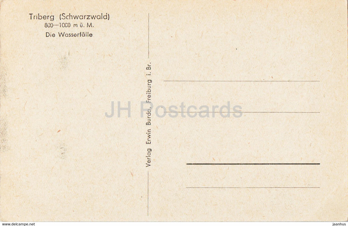 Triberg - Schwarzwald - Die Wasserfalle - Wasserfall - alte Postkarte - Deutschland - unbenutzt