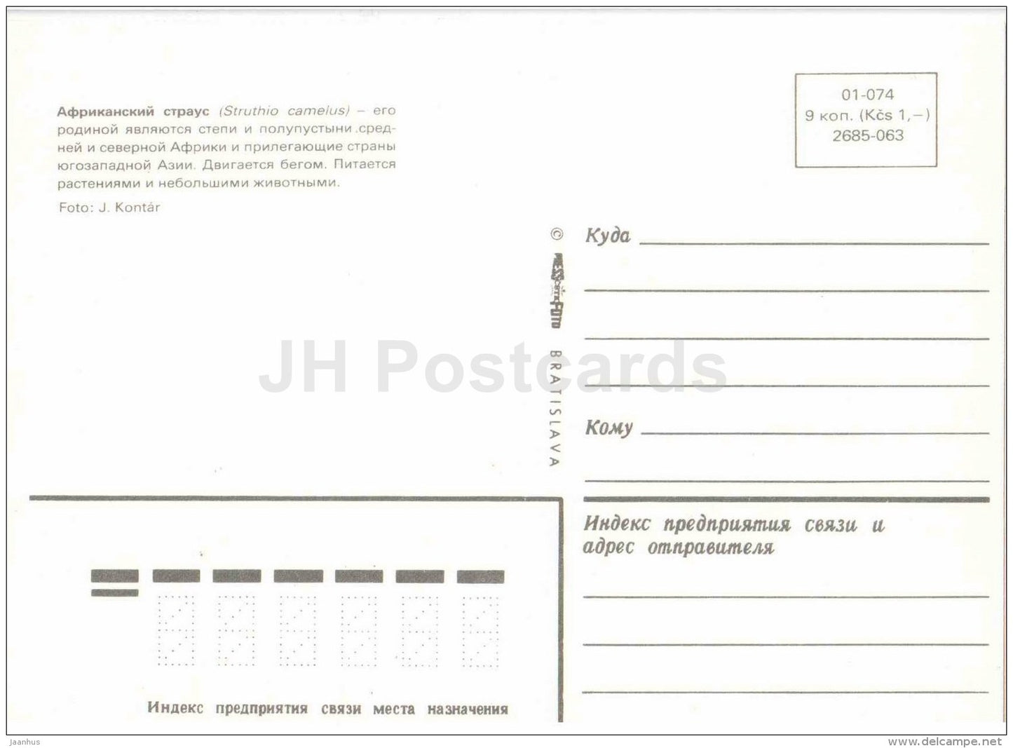 Ostrich - Struthio camelus - bird - Zoo Animals - Czehoslovakia - unused - JH Postcards