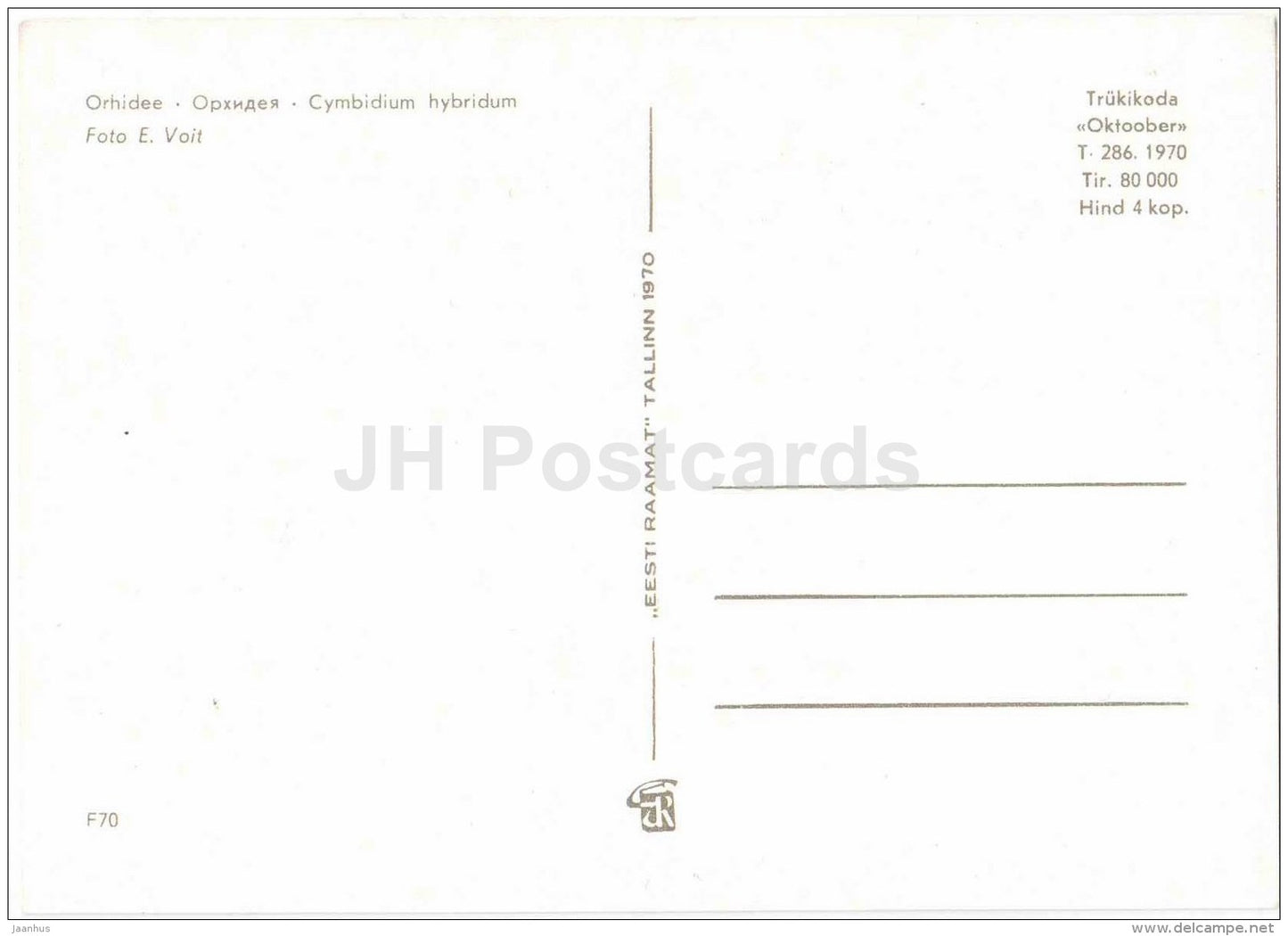 Orchid - Cymbidium Hybridum - flowers - 1970 - Estonia USSR - unused - JH Postcards