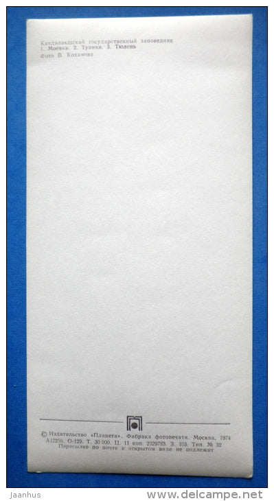 Kittiwake , genus Rissa - Puffin - Seal - birds - Kandalaksha Nature Reserve - 1974 - Russia USSR - unused - JH Postcards