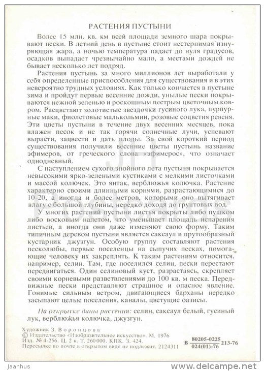 Calligonum - camel-thorn - Gagea - camel - Desert Plants - Amazing Plants - 1976 - Russia USSR - unused - JH Postcards