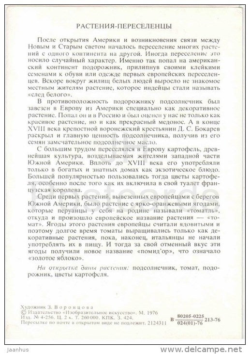 potato - sunflower - tomato - Plants Immigrants - Amazing Plants - 1976 - Russia USSR - unused - JH Postcards