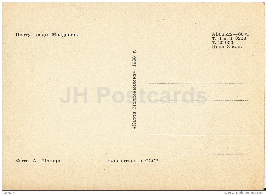 Blooming Gardens of Moldova - 1966 - Moldova USSR - unused - JH Postcards