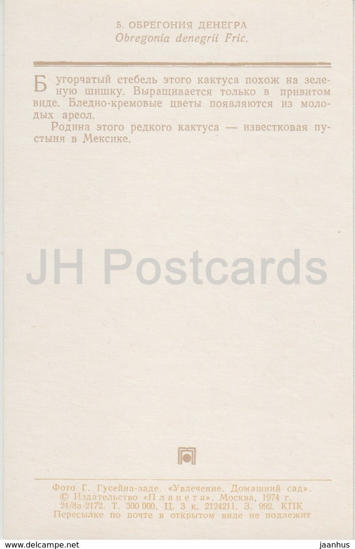 Obregonia denegrii - cactus - fleurs - 1974 - Russie URSS - inutilisé