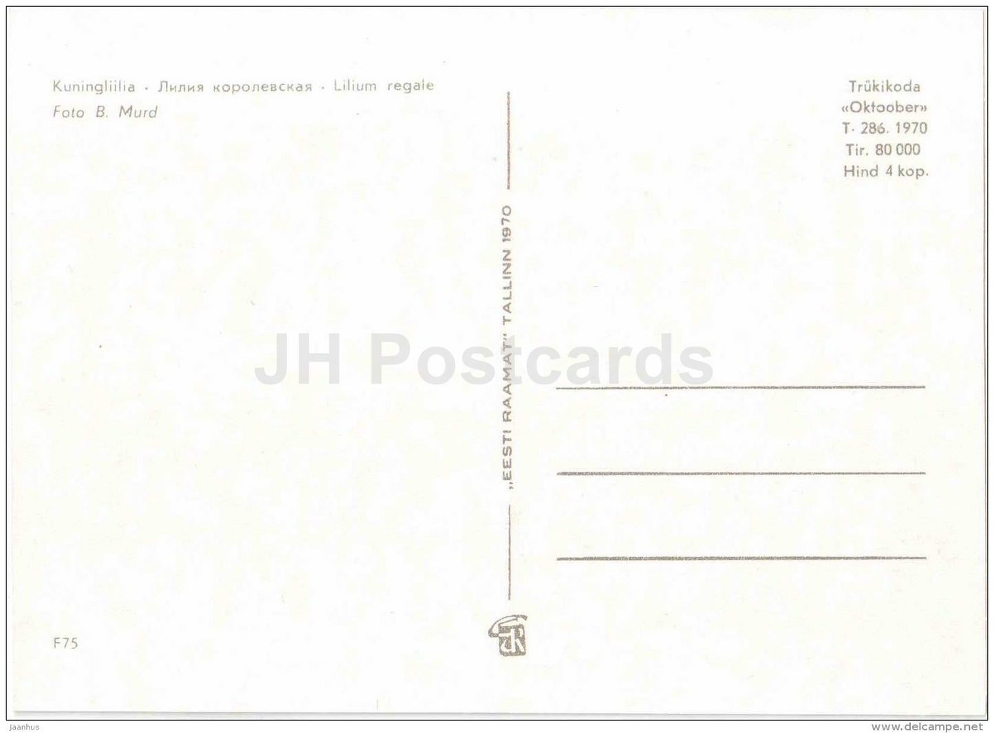 Royal Lily - Lilium regale - flowers - 1970 - Estonia USSR - unused - JH Postcards