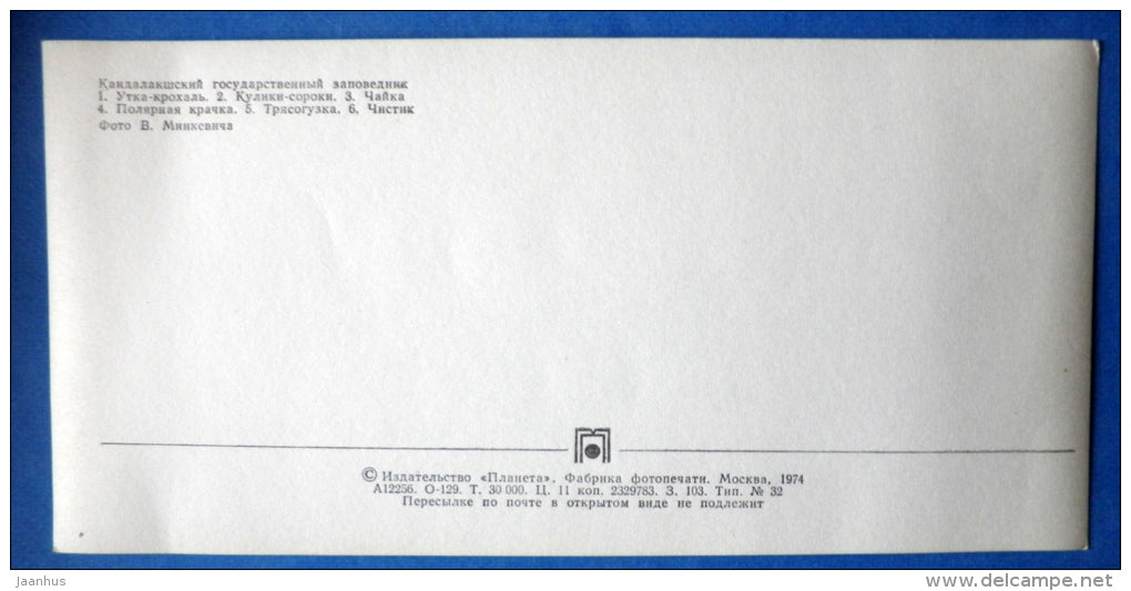 Merganser duck , Oystercatchers , gulls , Arctic Tern - birds - Kandalaksha Nature Reserve - 1974 - Russia USSR - unused - JH Postcards