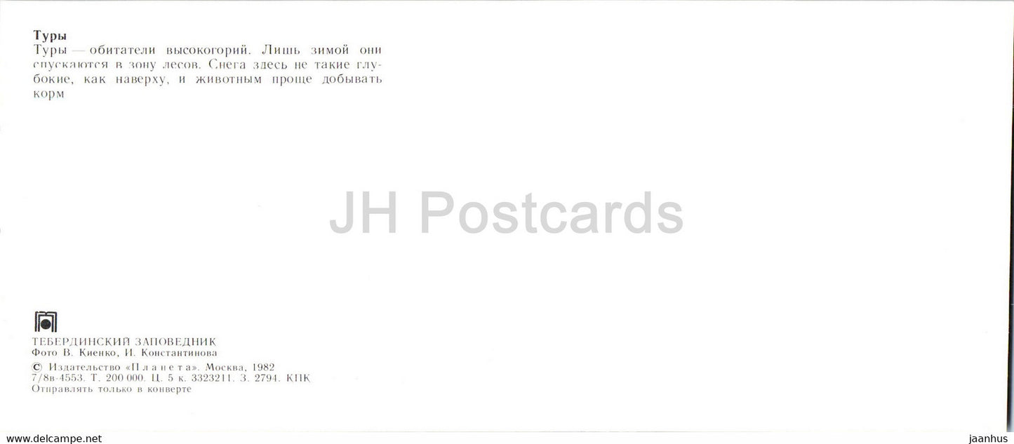 Naturschutzgebiet Teberda – Auerochse – Tiere – 1982 – Russland UdSSR – unbenutzt