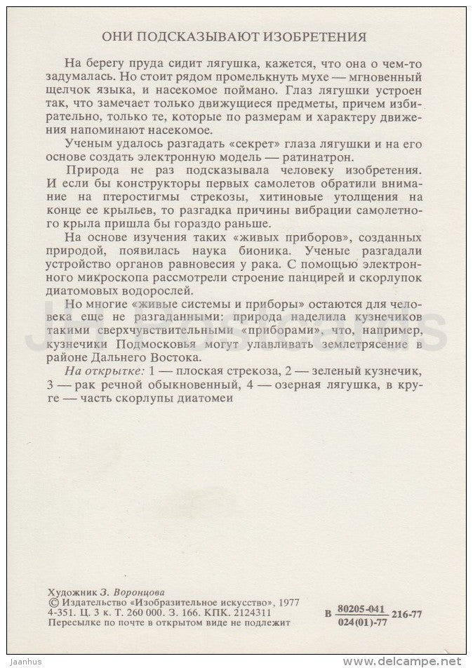 Libellula depressa , dragonfly - Great Green Bush-Cricket - lobster - Life in Water - 1977 - Russia USSR - unused - JH Postcards