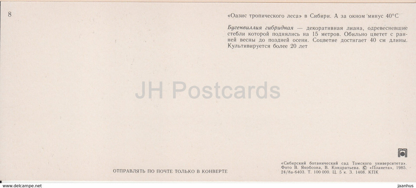 Bougainvillea - Siberian Botanical Garden - 1985 - Russia USSR - unused