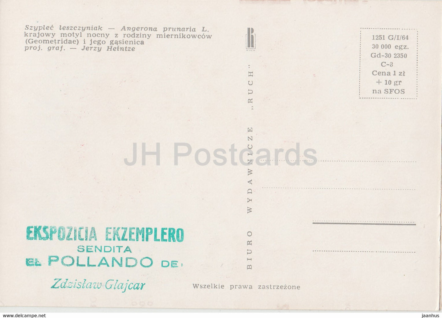 Szyplec leszczyniak - Angerona prunaria - moth - insects - illustration - Poland - unused