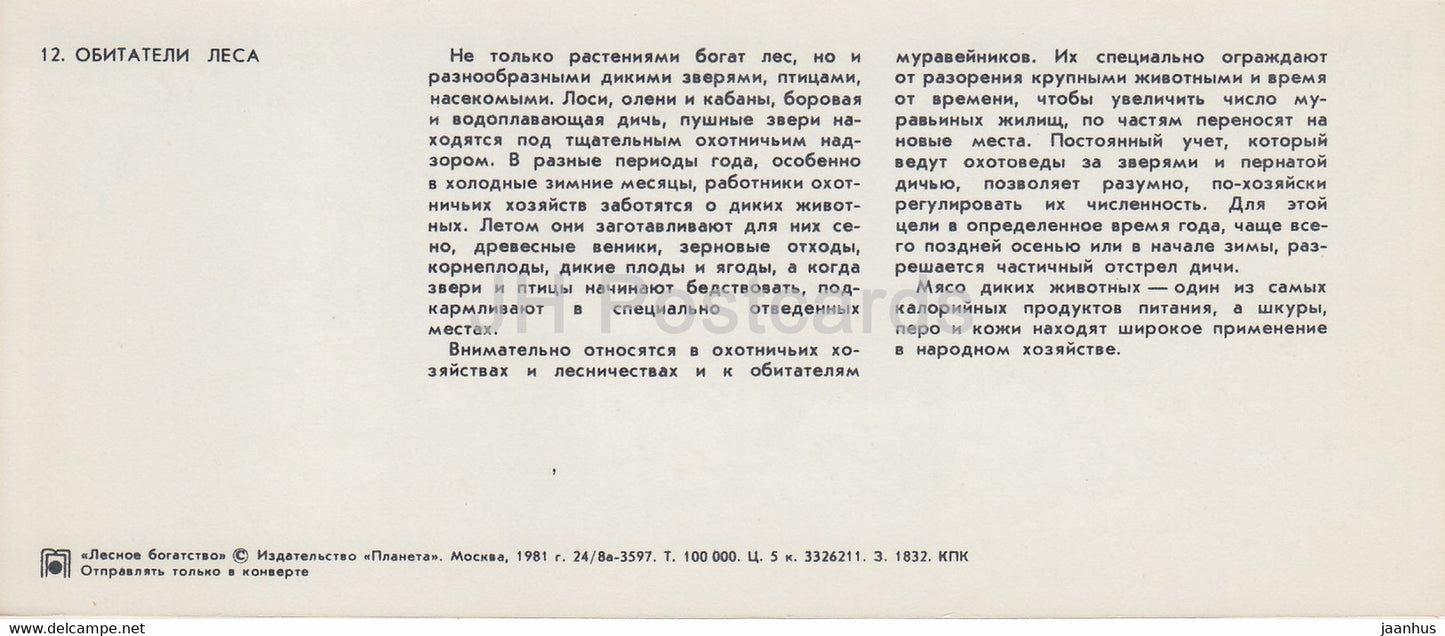 Fuchs - Ameisenhaufen - Forest Wealth - 1981 - Russland UdSSR - unbenutzt