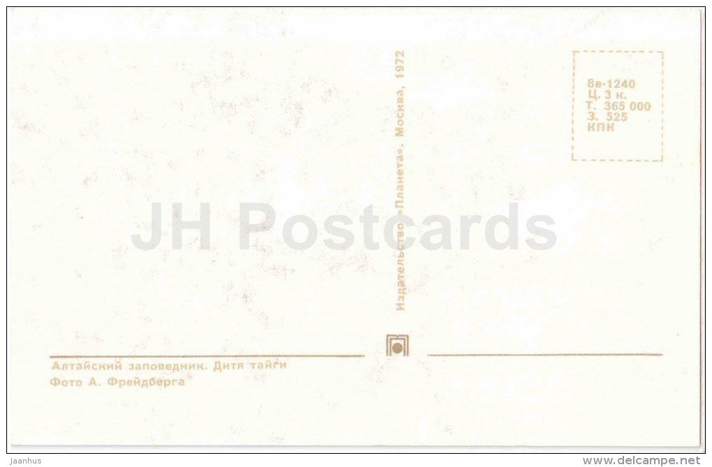 deer - Lake Teletskoye - Altay - 1972 - Russia USSR - unused - JH Postcards