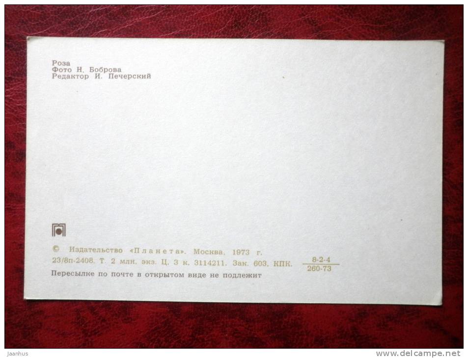 Rose - flowers - 1973 - Russia - USSR - unused - JH Postcards