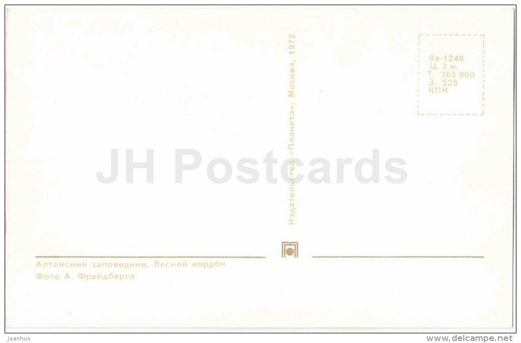 forest cordon - Lake Teletskoye - Altay - 1972 - Russia USSR - unused - JH Postcards
