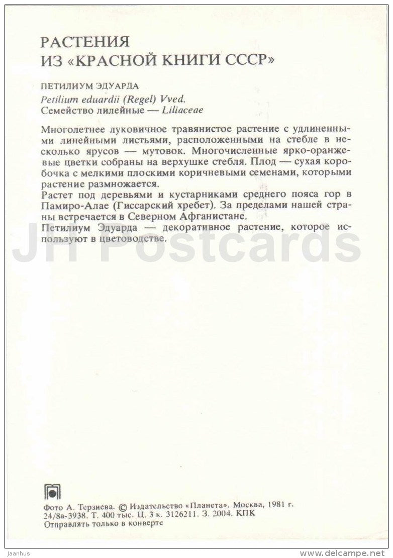 Petilium eduardii - Endangered Plants of USSR - nature - 1981 - Russia USSR - unused - JH Postcards